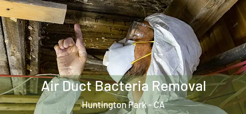  Air Duct Bacteria Removal Huntington Park - CA