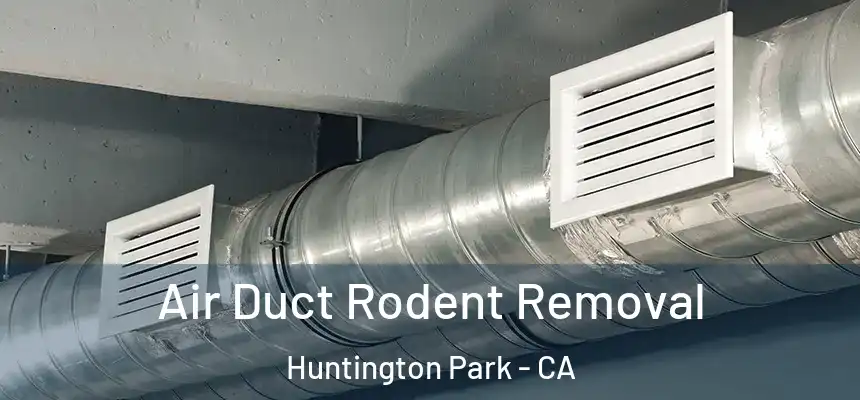 Air Duct Rodent Removal Huntington Park - CA