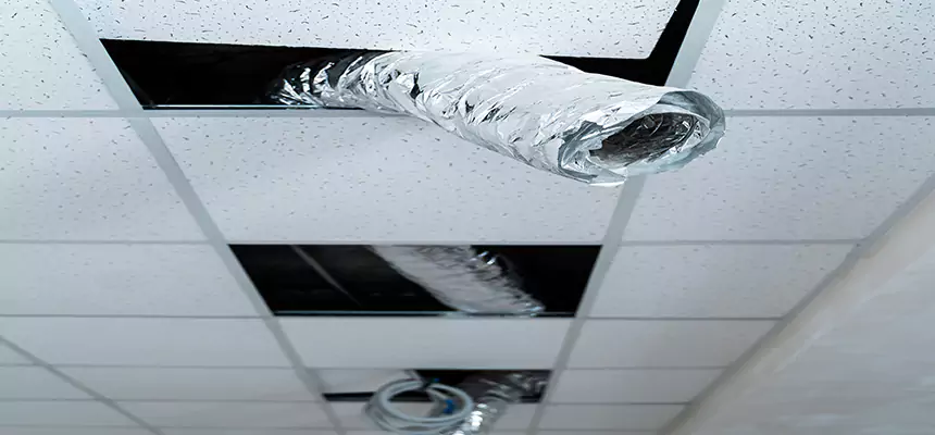 Affordable HVAC Sanitizing After Pest Removal in Huntington Park