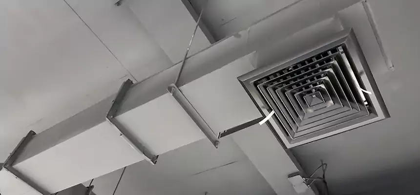 Our Rodent Droppings In Vents Services in Huntington Park, CA