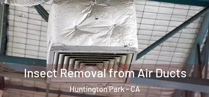  Insect Removal from Air Ducts Huntington Park - CA
