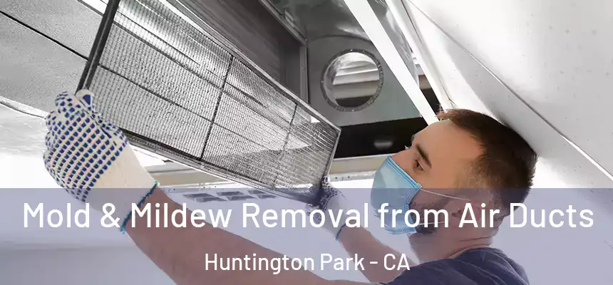  Mold & Mildew Removal from Air Ducts Huntington Park - CA