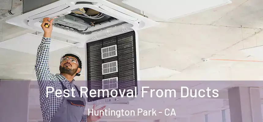  Pest Removal From Ducts Huntington Park - CA
