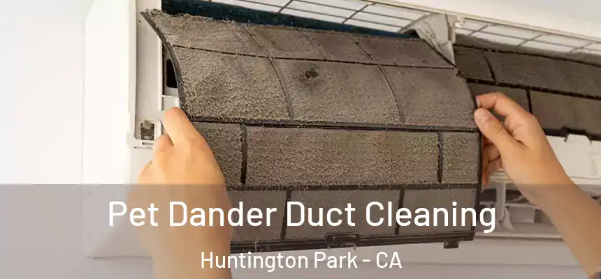 Pet Dander Duct Cleaning Huntington Park - CA