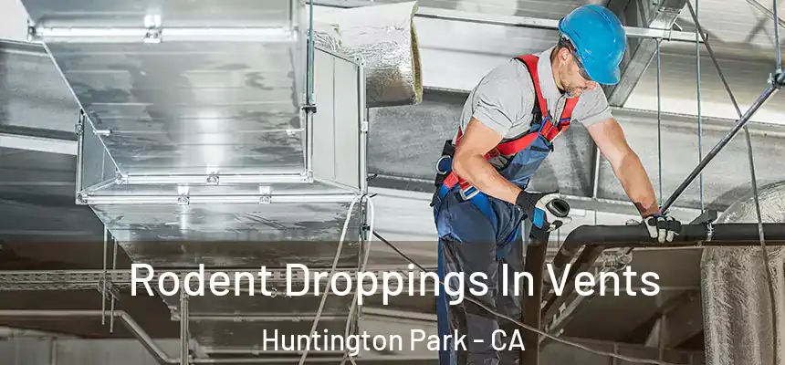  Rodent Droppings In Vents Huntington Park - CA