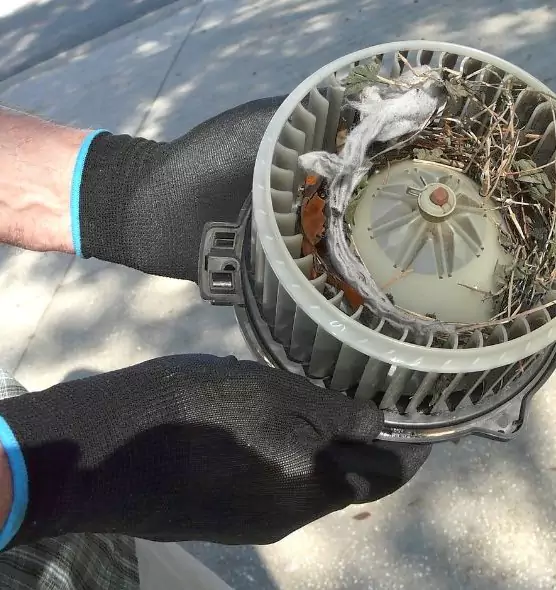 About Air Duct Rat Removal in Huntington Park, CA