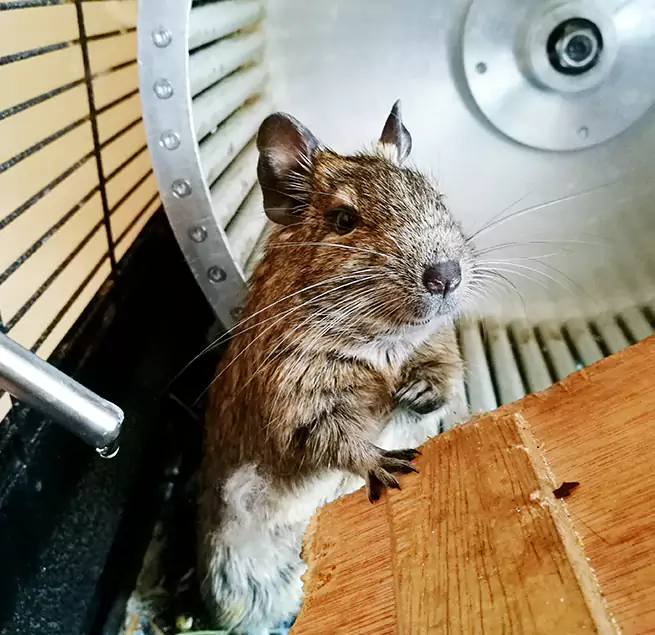 Why Homeowners & Businesses Trust Us Huntington Park, CA?