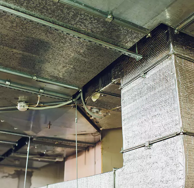 Why Homeowners & Businesses Trust Us in Huntington Park, CA?